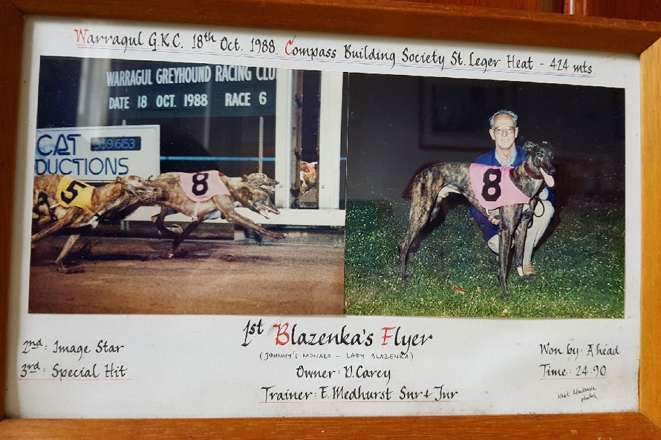 The great Blazenka’s Flyer, Greyhound of the Year in 1989, with Ted’s dad Ted