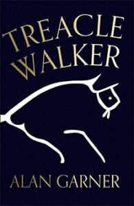 Treacle Walker book cover