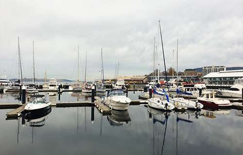 Yachts and cruisers on the Hobart waterfront