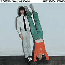 A Dream is All We Know, The Lemon Twigs