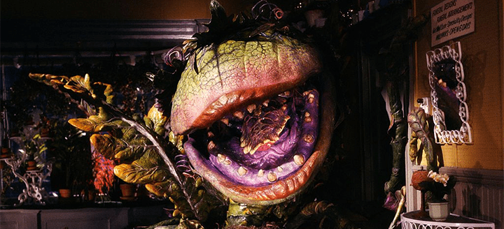 Audrey from Little Shop of Horrors saying "Feed Me!"